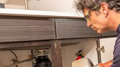 DIY Maintaining Your Kitchen Disposal | The Plumber’s Wife Post Thumbnail