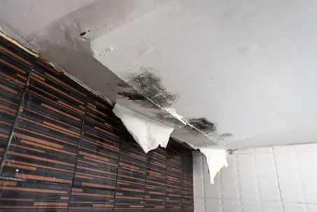 What are the signs of a hidden water leak in my home? Post Thumbnail