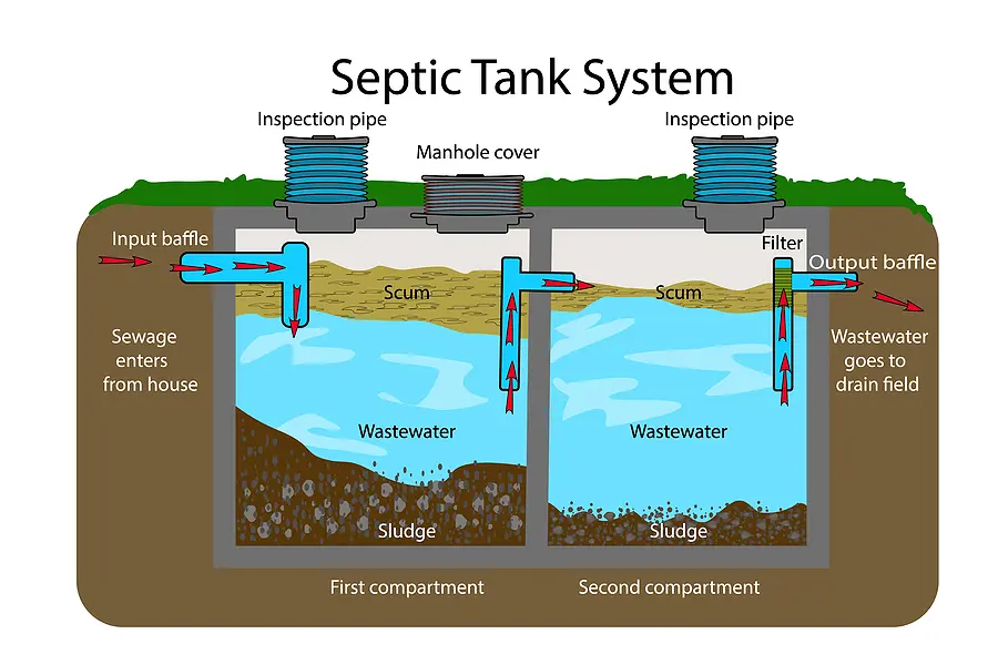 Septic Tank Diagram. Septic System And Drain Field Scheme . An U